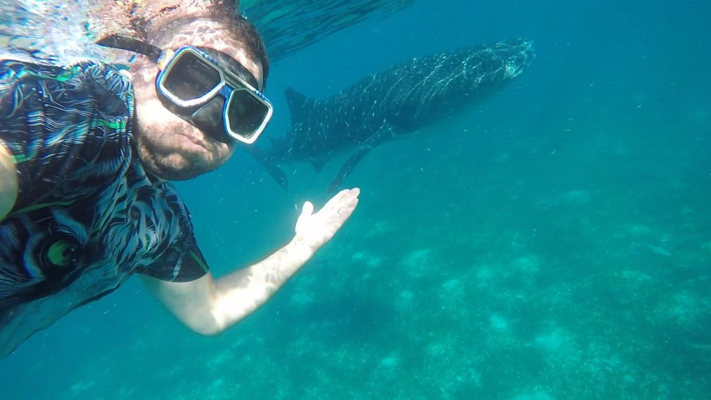 These majestic creatures are peaceful and very special