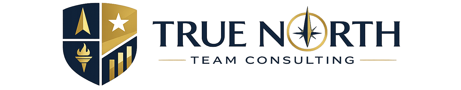 True North Team Consulting logo