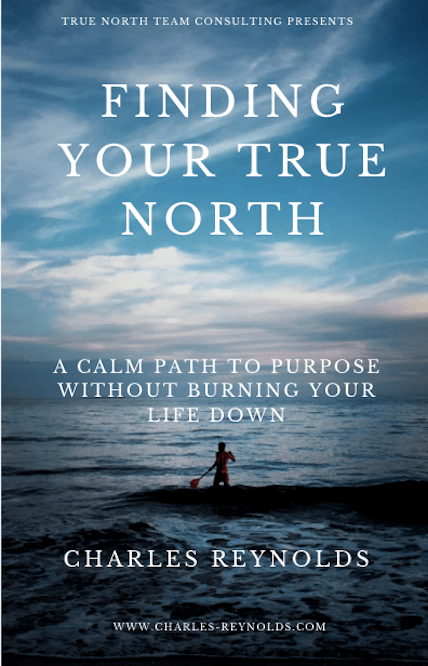 Finding Your True North: A Calm Path to Purpose Without Burning Your Life Down